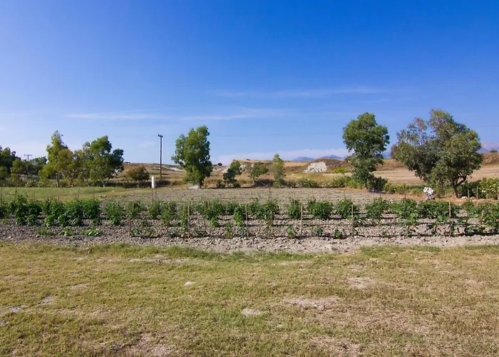 Kefalonia Ammos * Lixouri