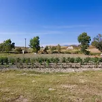 Kefalonia Ammos * 릭수리
